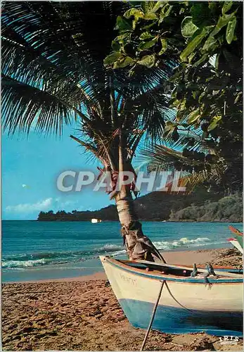 Cartes postales moderne Guadeloupe Plage de pecheurs apres Deshaies