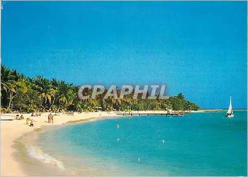 Cartes postales moderne Guadeloupe Plage de la Caravelle