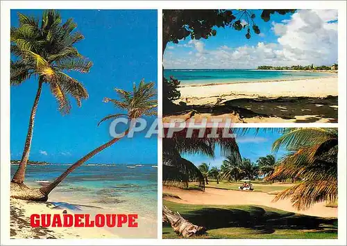 Moderne Karte Guadeloupe Plage St Francois Golf St Francois