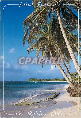 Moderne Karte Guadeloupe Saint-Francois Plage des Raisins Clairs