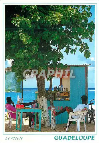 Cartes postales moderne Guadeloupe Ti-punck sur la plage du Moule