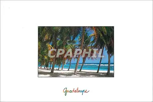 Cartes postales moderne Guadeloupe Marie-Galante