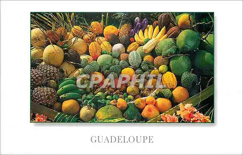 Moderne Karte Guadeloupe Fruits tropicaux