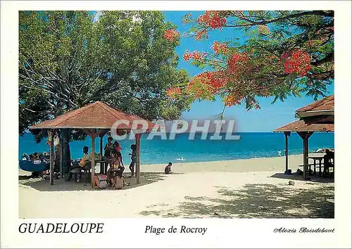 Moderne Karte Guadeloupe Vieux-Habitants plage de Rocro