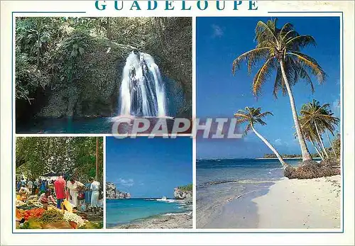 Cartes postales moderne Guadeloupe cascade aux ecrevisses plage des Raisins Clairs marche au fruits Portes d'Enfer