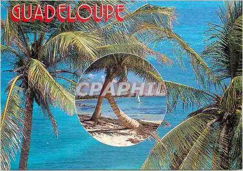 Cartes postales moderne Guadeloupe