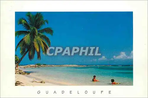 Cartes postales moderne Guadeloupe Plage Caravelle Ste Anne