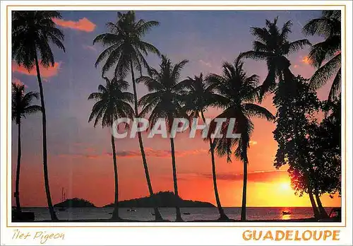 Cartes postales moderne Guadeloupe Ilet Pigeon