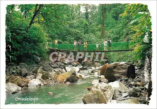 Cartes postales moderne Guadeloupe