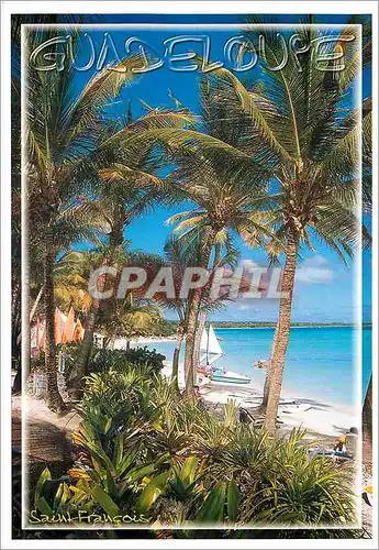 Cartes postales moderne Guadeloupe Saint-Francois