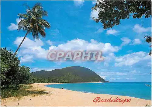 Cartes postales moderne Guadeloupe Plage de Deshaies
