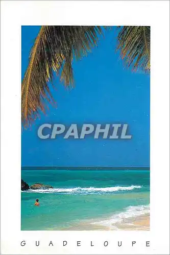 Cartes postales moderne Guadeloupe