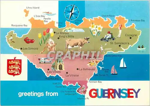 Cartes postales moderne Guernsey