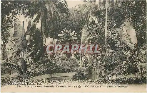 Cartes postales Guinee Konakry Afrique Occidentale Francaise Jardin Public
