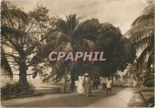 Cartes postales moderne Guinee Conakry La Corniche