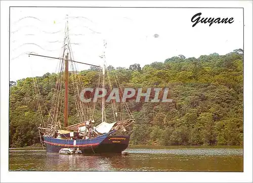 Cartes postales moderne Guyane Francaise Paysage de Guyane