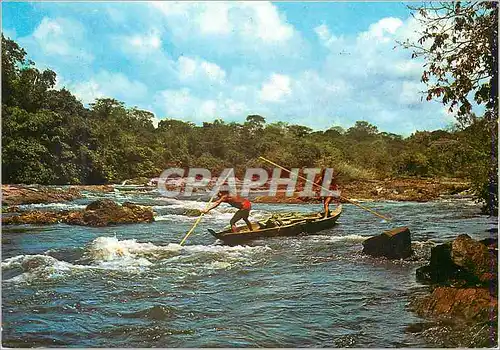 Cartes postales moderne Guyane Francaise Haut Itany Indiens Wayana en canot dans les rapides