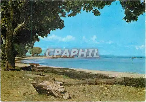 Cartes postales moderne Guyane Francaise Cayenne La plage des Amandiers