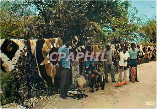 Cartes postales moderne Haiti Port-au-prince Sur la route de Petionville artisans