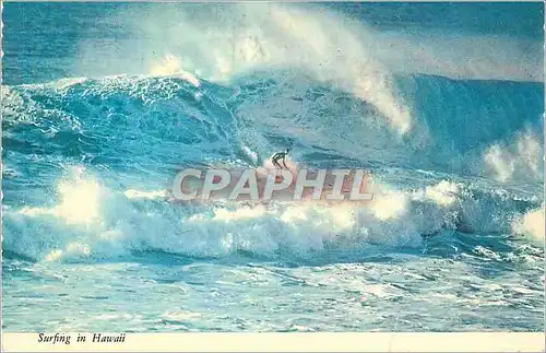 Cartes postales moderne Surfing in Hawaii