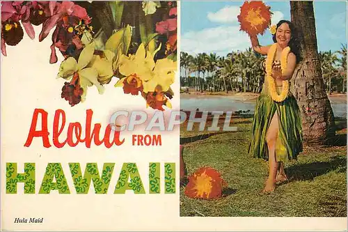 Moderne Karte Aloha from Hawaii