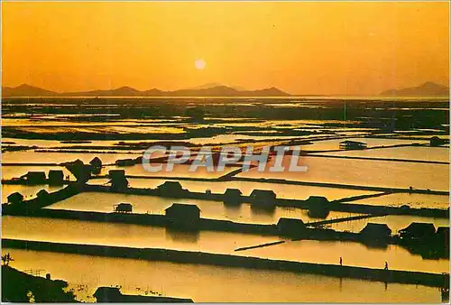 Cartes postales moderne Hong Kong Lok Ma Chau