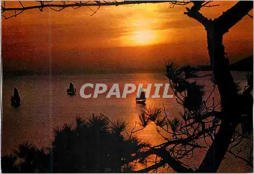 Cartes postales moderne Hong Kong