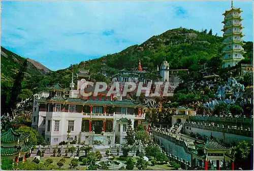 Cartes postales moderne Hong Kong Tiger Gardens