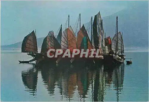 Cartes postales moderne Hong Kong Chinese Junks Bateaux