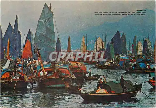 Cartes postales moderne Hong Kong