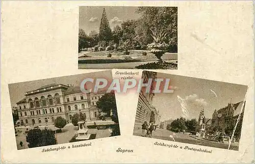 Cartes postales Torvenyesen vedve