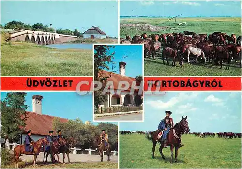 Cartes postales moderne Greetings from Horlobagy