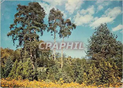 Cartes postales moderne Matra