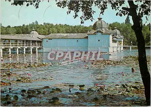 Cartes postales moderne Heviz Helth resort