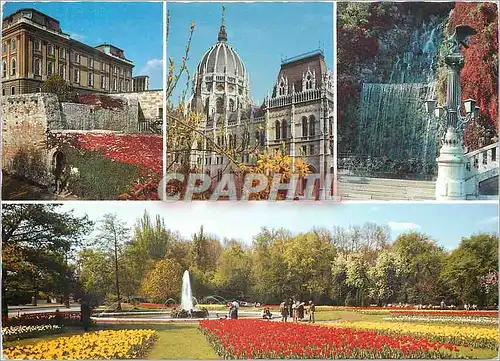 Cartes postales moderne Budapest