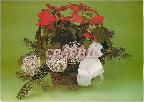 Cartes postales moderne Merry christmas
