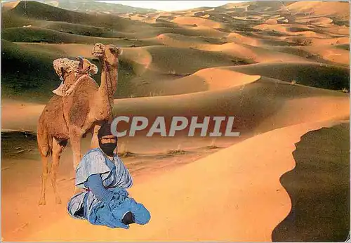 Cartes postales moderne Maroc infini dans l'immensite du desert l'homme et son compagno le dromadaire