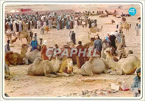 Moderne Karte Maroc typique