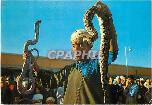 Cartes postales moderne Marrakech place djemaa el fna Serpent