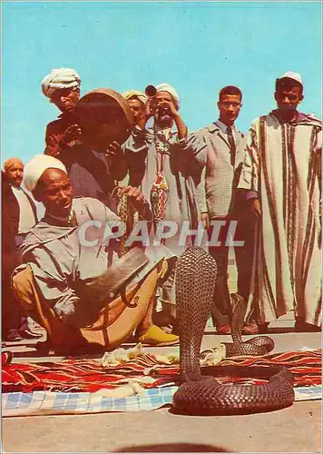 Cartes postales moderne Charmeur de serpent