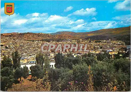 Cartes postales moderne Fes vue generale