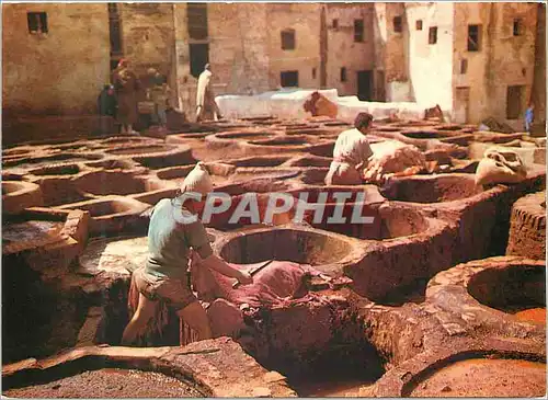 Cartes postales moderne Fes les teinturiers