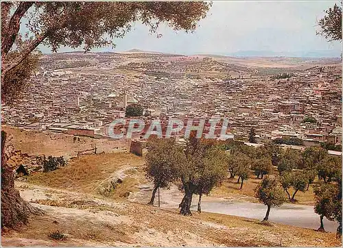 Cartes postales moderne Fes vue generale