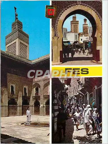 Cartes postales moderne Fes mosquee