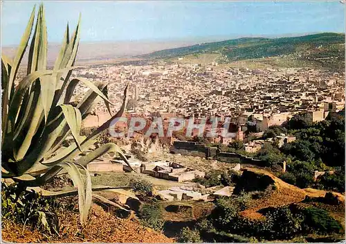 Cartes postales moderne Fes la ville vue des remparts