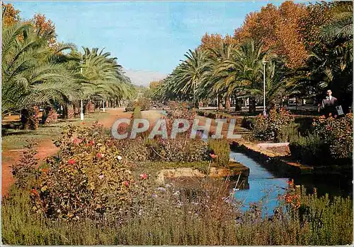 Cartes postales moderne Fes avenues hassan II