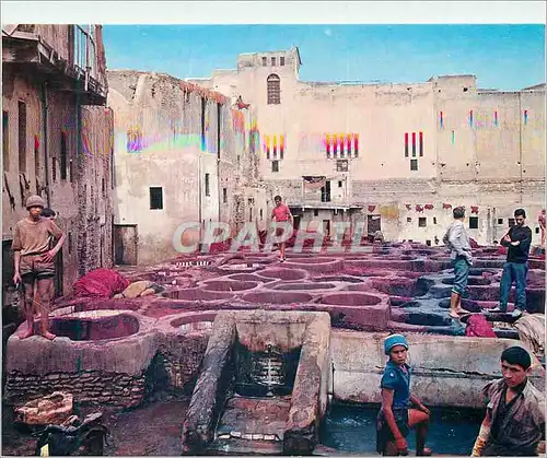 Cartes postales moderne Fes les tanneries