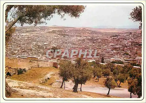 Cartes postales moderne Fes vue generale