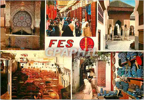 Cartes postales moderne Mosquee karaouiyine (IX XII s) tanneurs