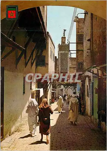 Cartes postales moderne Fes taisa rue de la medina